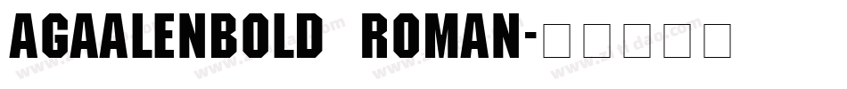 AGAalenBold Roman字体转换